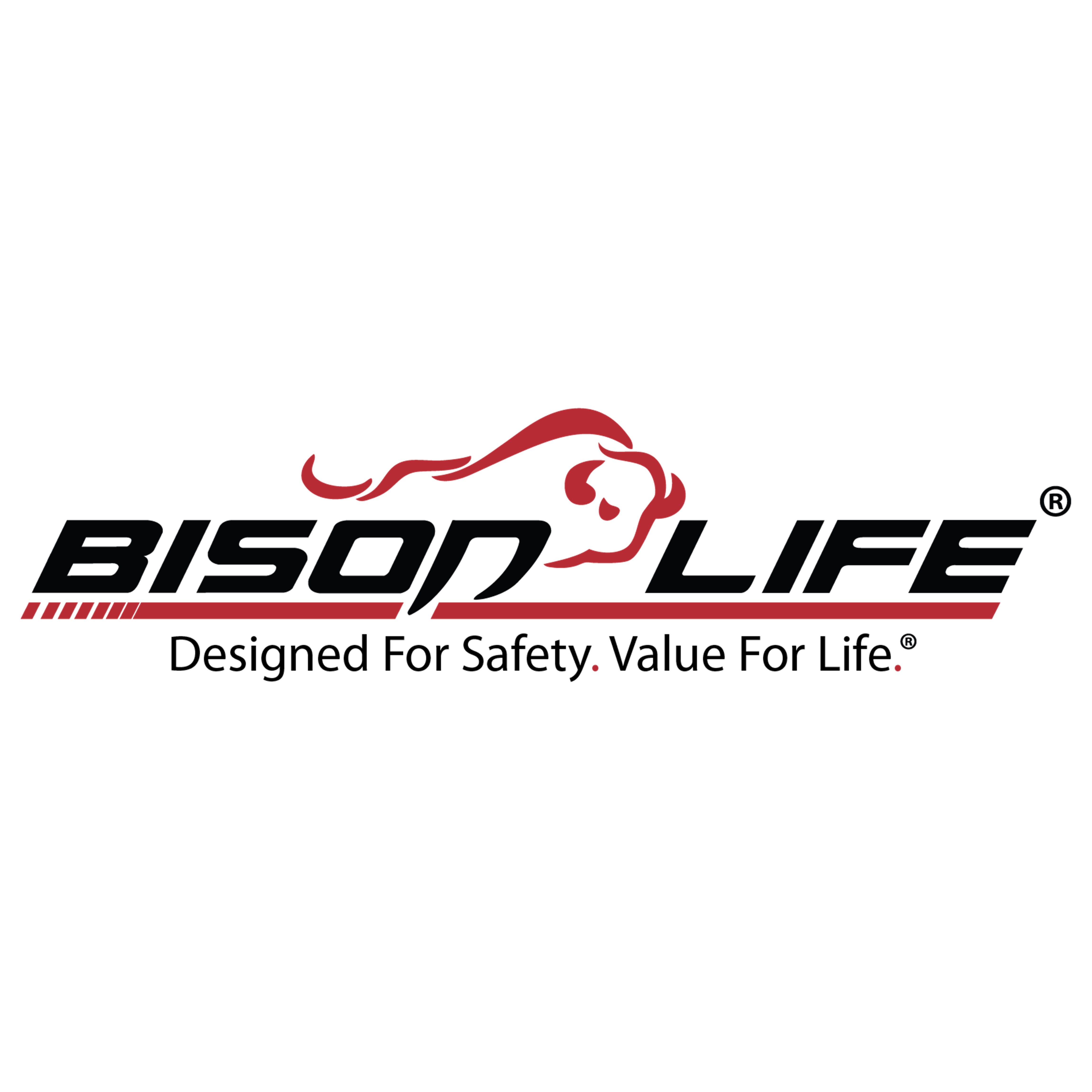 Bisonlife India Private Limited