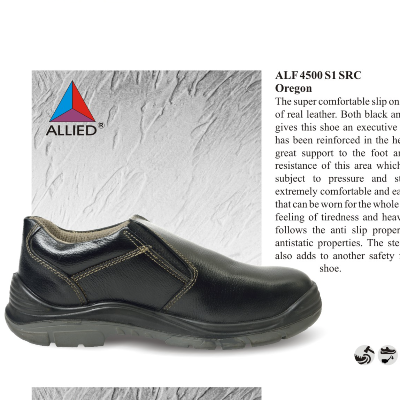 aLF OREGON S1 SRC